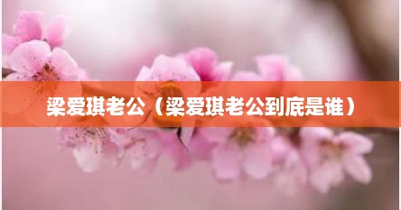 梁爱琪老公（梁爱琪老公到底是谁）