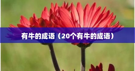有牛的成语（20个有牛的成语）