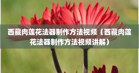 西藏肉莲花法器制作方法视频（西藏肉莲花法器制作方法视频讲解）