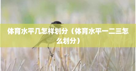 体育水平几怎样划分（体育水平一二三怎么划分）