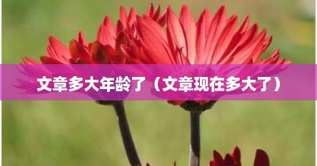 文章多大年龄了（文章现在多大了）
