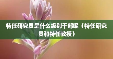 特任研究员是什么级别干部呢（特任研究员和特任教授）