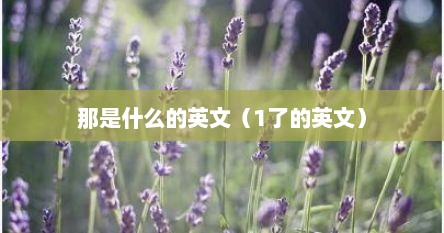 那是什么的英文（1了的英文）