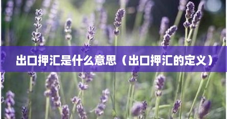 出口押汇是什么意思（出口押汇的定义）