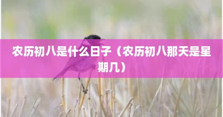 农历初八是什么日子（农历初八那天是星期几）