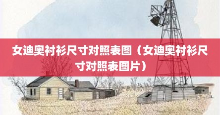 女迪奥衬衫尺寸对照表图（女迪奥衬衫尺寸对照表图片）