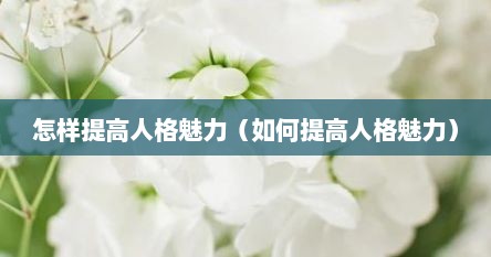 怎样提高人格魅力（如何提高人格魅力）
