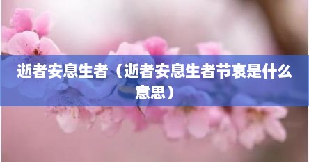 逝者安息生者（逝者安息生者节哀是什么意思）