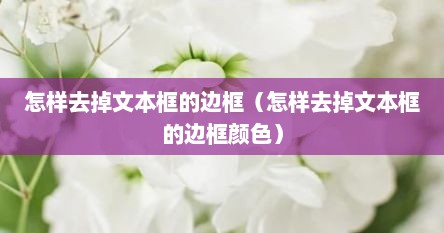 怎样去掉文本框的边框（怎样去掉文本框的边框颜色）