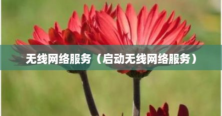 无线网络服务（启动无线网络服务）