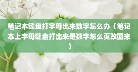 笔记本键盘打字母出来数字怎么办（笔记本上字母键盘打出来是数字怎么更改回来）