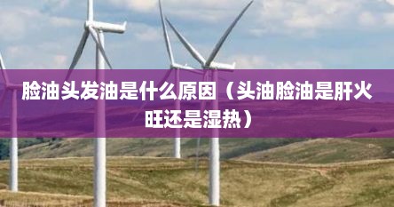 脸油头发油是什么原因（头油脸油是肝火旺还是湿热）