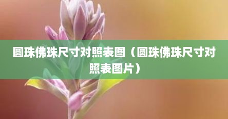 圆珠佛珠尺寸对照表图（圆珠佛珠尺寸对照表图片）