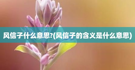 风信子什么意思?(风信子的含义是什么意思)