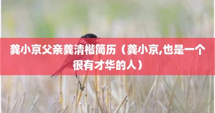 龚小京父亲龚清楷简历（龚小京,也是一个很有才华的人）
