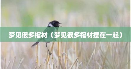 梦见很多棺材（梦见很多棺材摆在一起）
