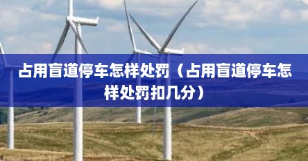 占用盲道停车怎样处罚（占用盲道停车怎样处罚扣几分）