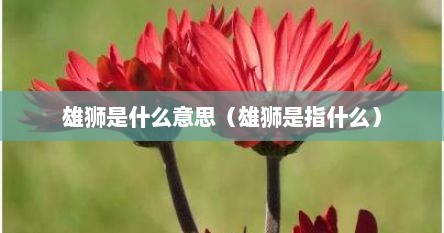 雄狮是什么意思（雄狮是指什么）