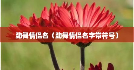 劲舞情侣名（劲舞情侣名字带符号）