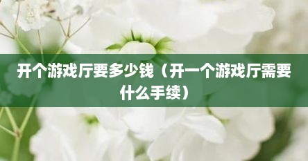 开个游戏厅要多少钱（开一个游戏厅需要什么手续）