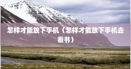 怎样才能放下手机（怎样才能放下手机去看书）