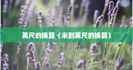 英尺的换算（米到英尺的换算）