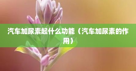 汽车加尿素起什么功能（汽车加尿素的作用）