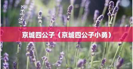 京城四公子（京城四公子小勇）