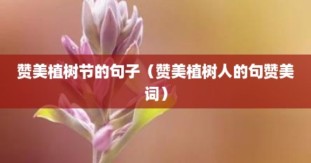 赞美植树节的句子（赞美植树人的句赞美词）
