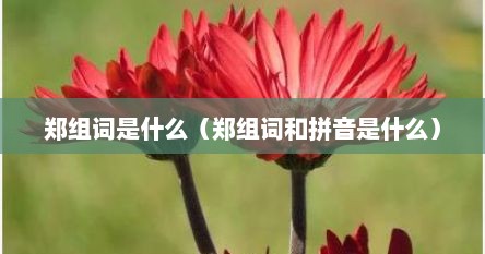 郑组词是什么（郑组词和拼音是什么）