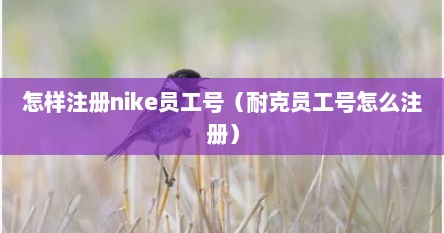 怎样注册nike员工号（耐克员工号怎么注册）
