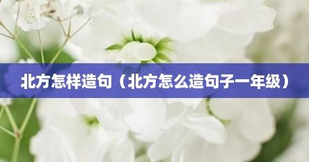 北方怎样造句（北方怎么造句子一年级）