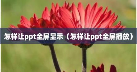 怎样让ppt全屏显示（怎样让ppt全屏播放）