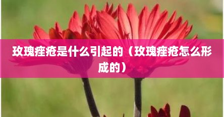 玫瑰痤疮是什么引起的（玫瑰痤疮怎么形成的）