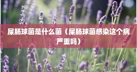 屎肠球菌是什么菌（屎肠球菌感染这个病严重吗）