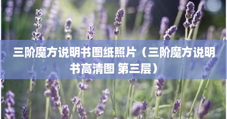 三阶魔方图解图片（三阶魔方说明书图片）