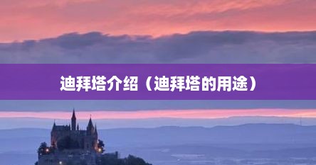 迪拜塔介绍（迪拜塔的用途）