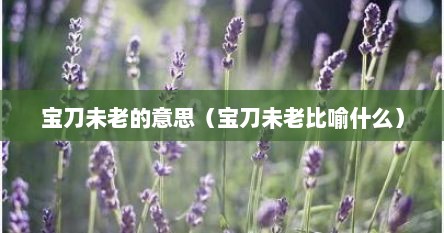 宝刀未老的意思（宝刀未老比喻什么）