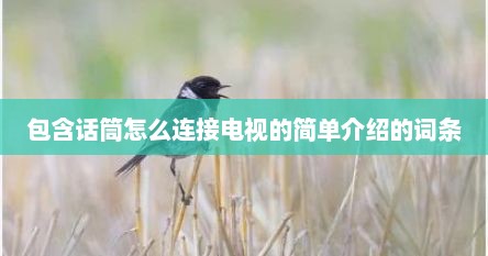 包含话筒怎么连接电视的简单介绍的词条
