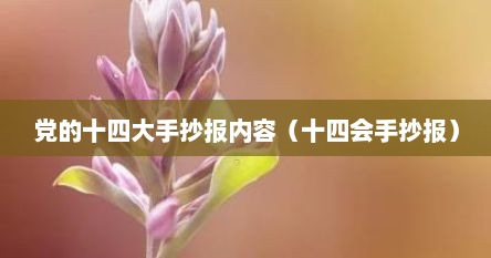 党的十四大手抄报内容（十四会手抄报）