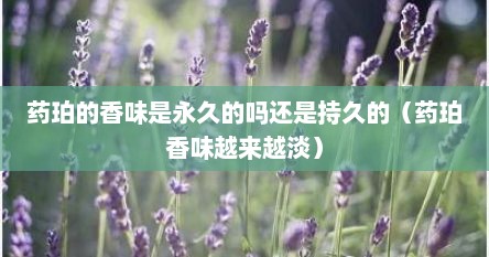 药珀的香味是什么味道（药珀的味道大吗）