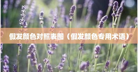 假发颜色对照表图（假发颜色专用术语）