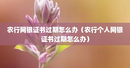 农行网银证书过期怎么办（农行个人网银证书过期怎么办）