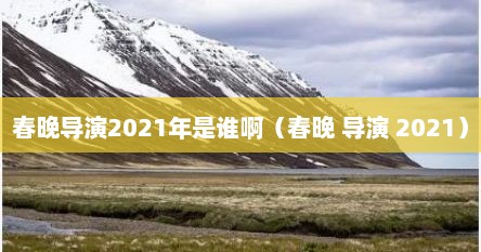 春晚导演2021年是谁啊（春晚 导演 2021）