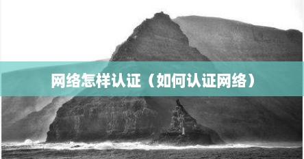 网络怎样认证（如何认证网络）
