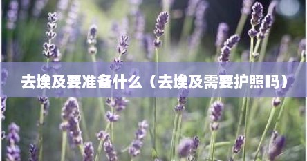 去埃及要准备什么（去埃及需要护照吗）
