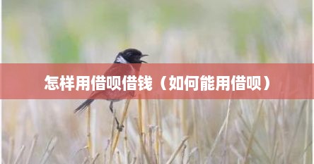 怎样用借呗借钱（如何能用借呗）