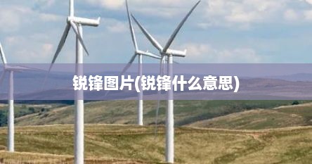 锐锋图片(锐锋什么意思)
