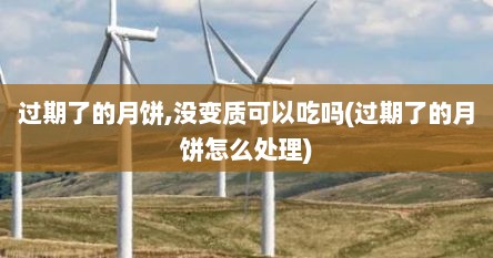 过期了的月饼,没变质可以吃吗(过期了的月饼怎么处理)