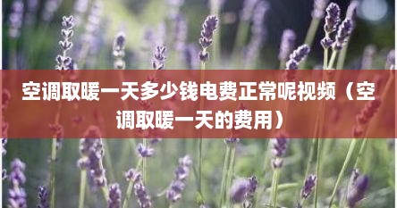 空调取暖一天多少钱电费正常呢视频（空调取暖一天的费用）